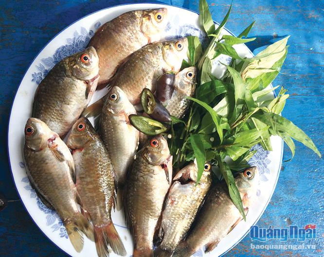 Loài cá xưa chỉ nhà nghèo mới ăn, giá cực rẻ nay thành đặc sản nhà khá giả &quot;đỏ mắt&quot; tìm mua - Ảnh 9.