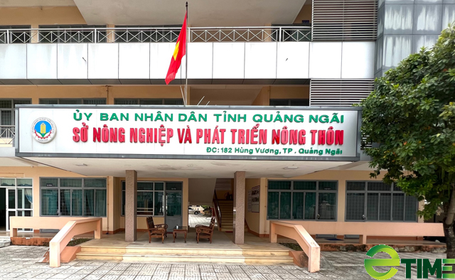 Quảng Ngãi: Xin quyết toán dự án kết thúc từ năm 2020, tỉnh yêu cầu Sở NN&PTNT giải trình - Ảnh 3. Quảng Ngãi: Xin quyết toán dự án kết thúc từ năm 2020, tỉnh yêu cầu Sở NN&PTNT giải trình - Ảnh 3.