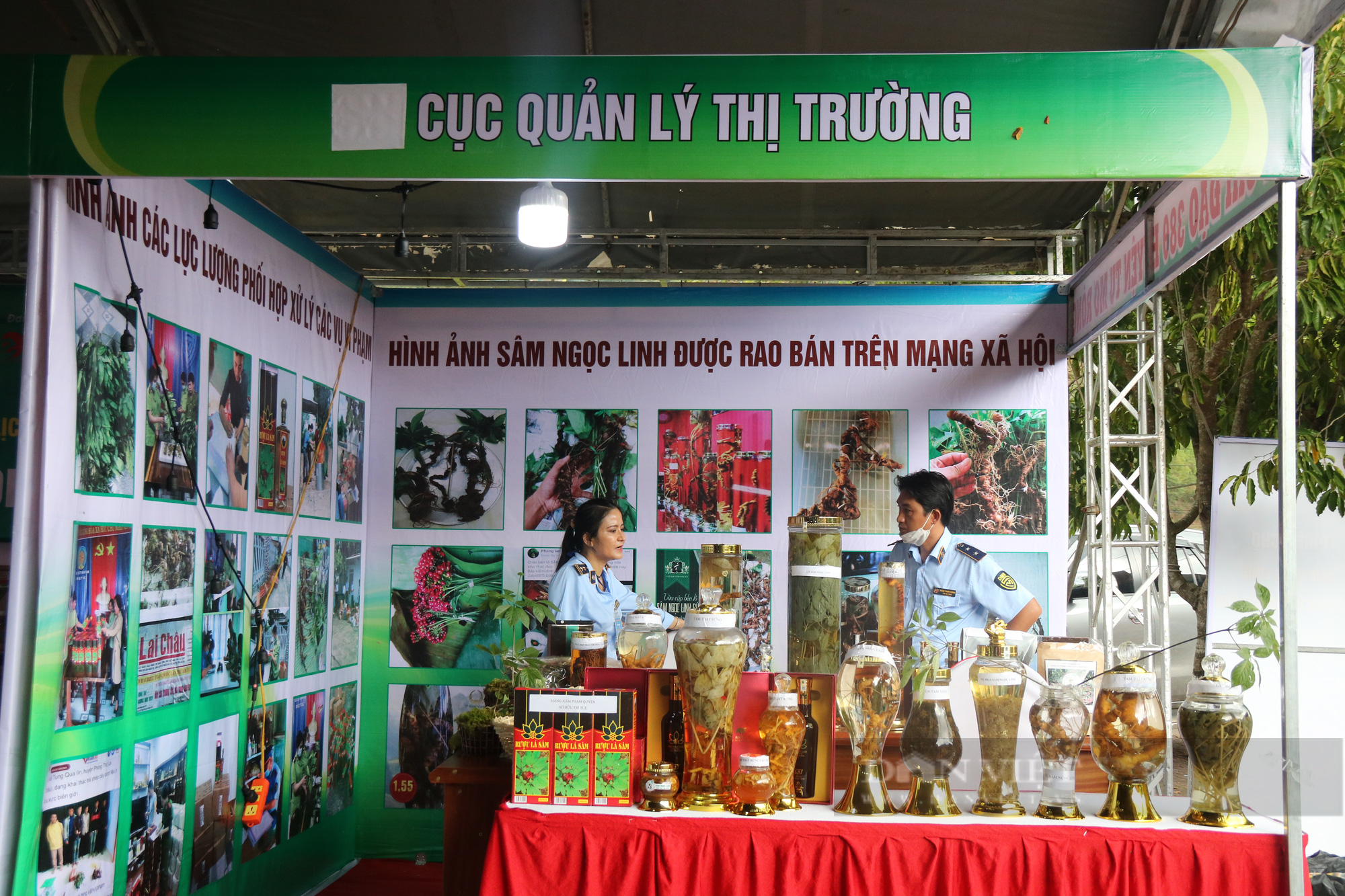 Nhận biết sâm thật – sâm giả tại phiên chợ sâm Ngọc Linh ở Kon Tum - Ảnh 3.
