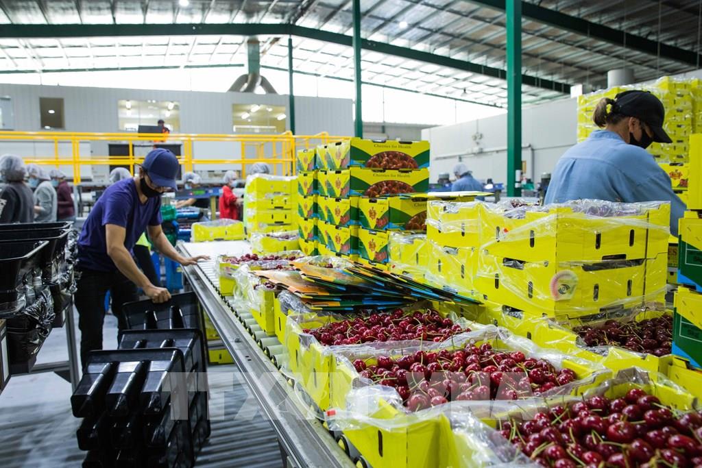 Cảnh báo lừa đảo, dụ dỗ người dân tham gia chương trình lao động nông nghiệp tại Úc nhận lương khủng - Ảnh 1.