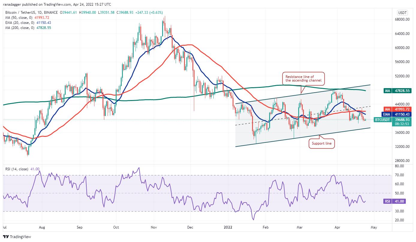5 loại tiền điện tử hàng đầu nên xem trong tuần này: BTC, DOT, XMR, APE, CAKE - Ảnh 2.