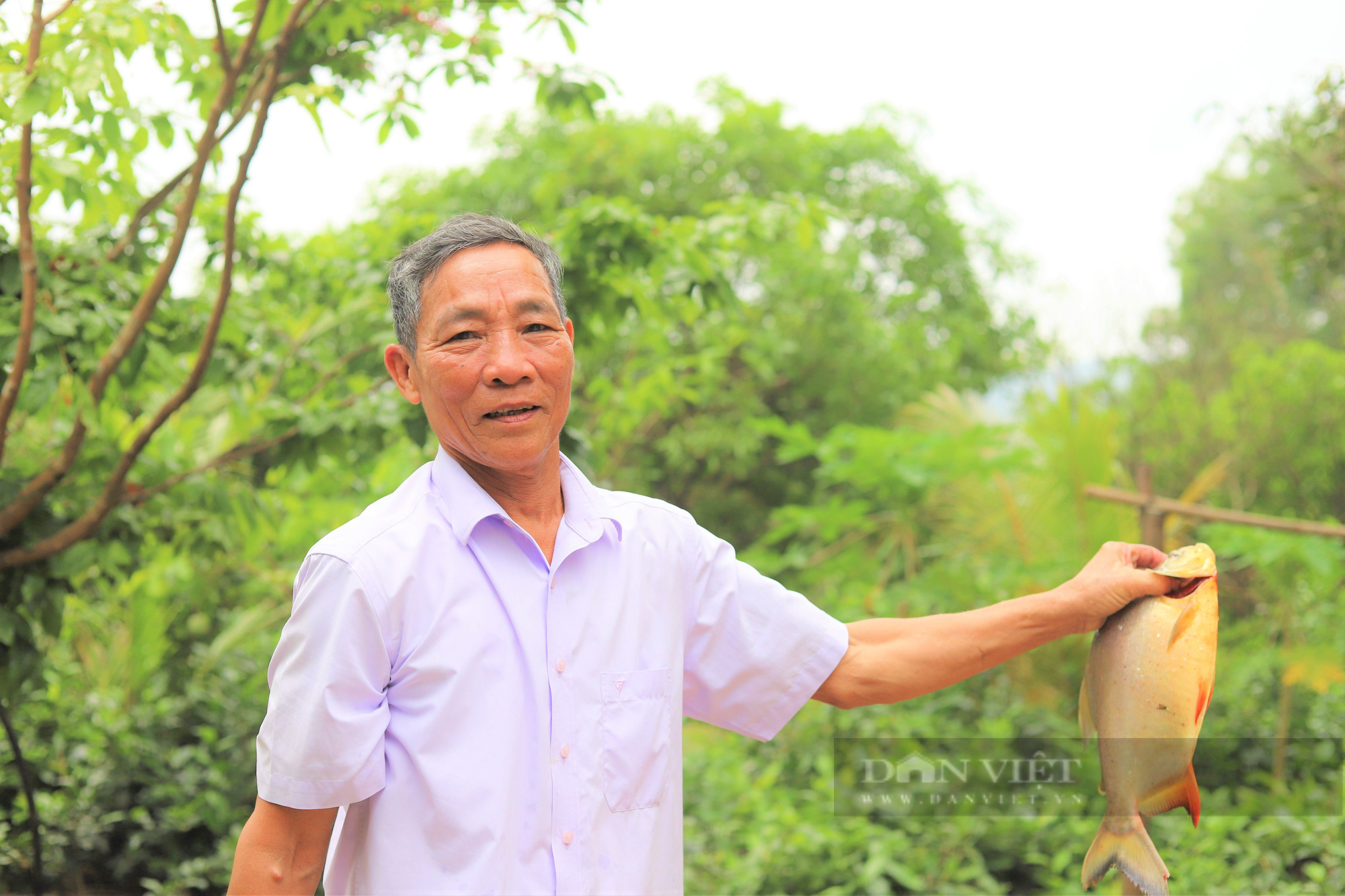 Hà Tĩnh: Nể phục thương binh cả làng cho là “khùng” biến đồi hoang thành trang trại thu về 1 tỷ đồng/năm - Ảnh 2.