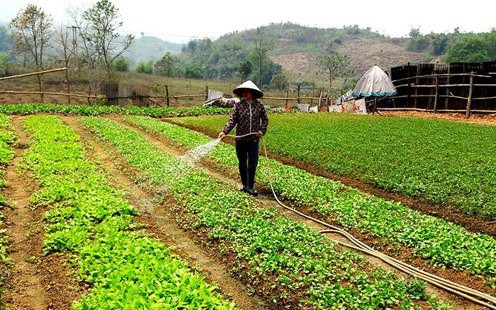 Điện Biên: Xây dựng Nông thôn mới ở Mường Nhé