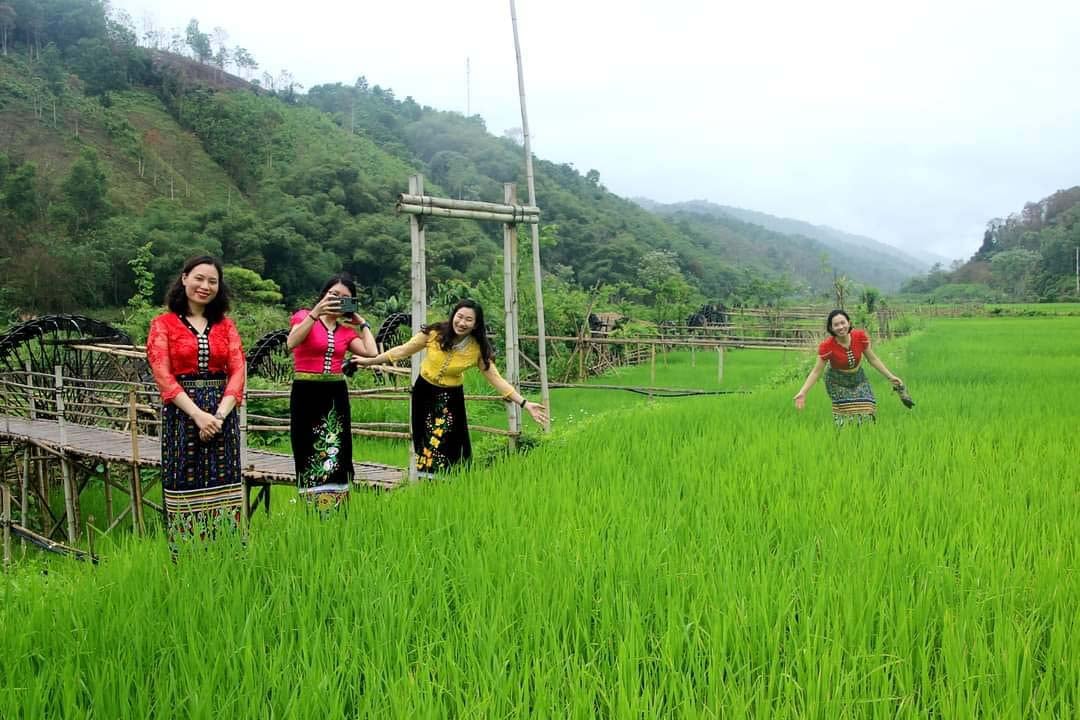 Du lịch sinh thái từ 40 cọn nước trên cánh đồng thẳng cánh cò bay - Ảnh 2.