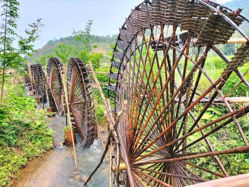 Du lịch sinh thái từ 40 cọn nước trên cánh đồng thẳng cánh cò bay - Ảnh 5.