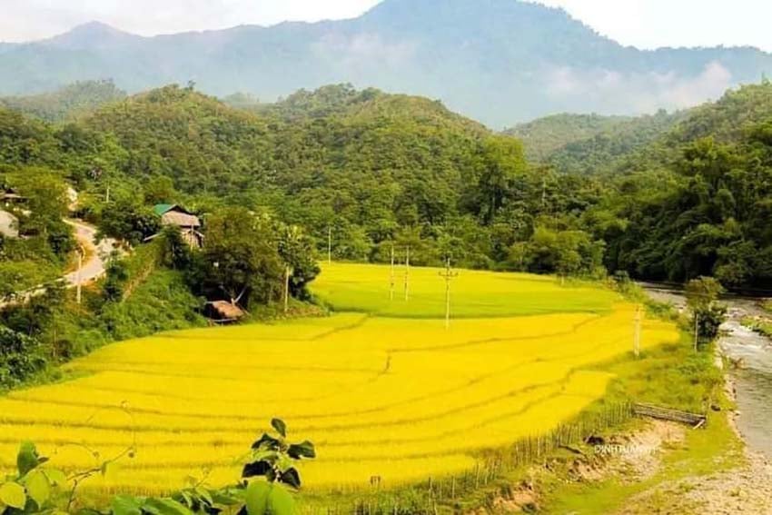 Du lịch sinh thái từ 40 cọn nước trên cánh đồng thẳng cánh cò bay - Ảnh 3.