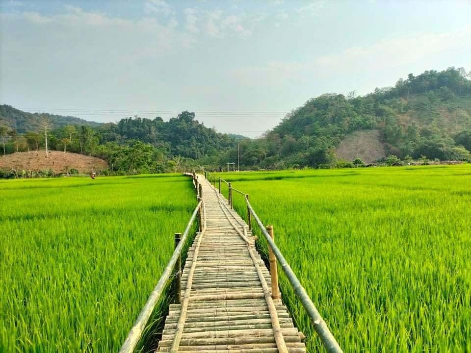 Du lịch sinh thái từ 40 cọn nước trên cánh đồng thẳng cánh cò bay - Ảnh 6.