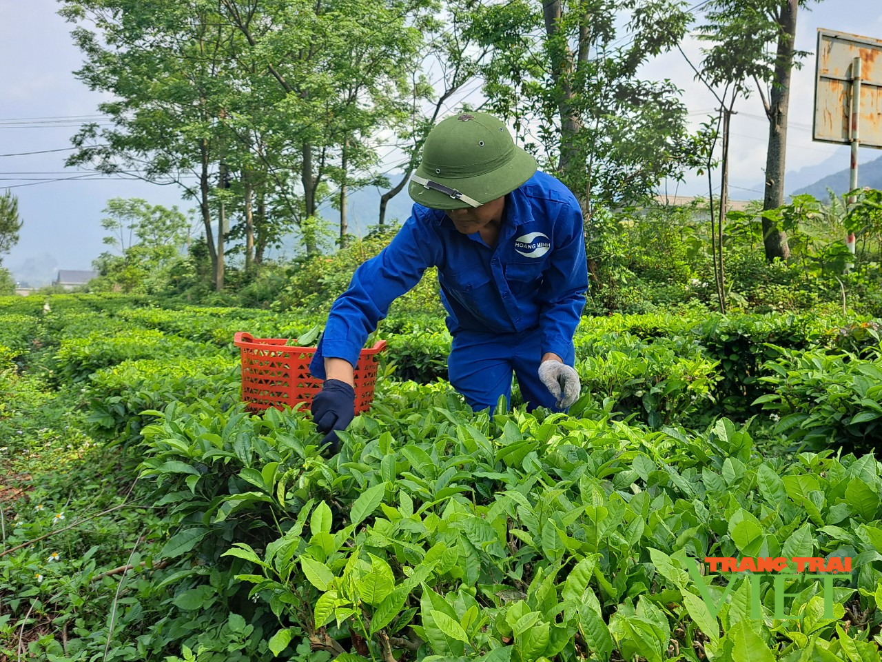 Hội Nông dân - Bưu điện Tân Uyên: Ký kết hợp tác hỗ trợ nông dân chuyển đổi số - Ảnh 2. Hội Nông dân - Bưu điện Tân Uyên: Ký kết hợp tác hỗ trợ nông dân chuyển đổi số - Ảnh 2.