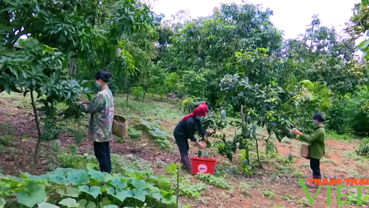 Nông thôn Tây Bắc: Chú trọng sản xuất nông nghiệp sạch, nông nghiệp hữu cơ - Ảnh 2. Nông thôn Tây Bắc: Chú trọng sản xuất nông nghiệp sạch, nông nghiệp hữu cơ - Ảnh 2.