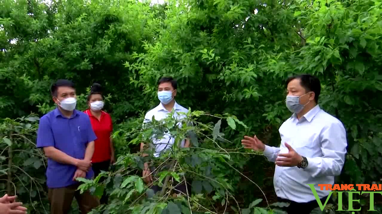 Nông thôn Tây Bắc: Chú trọng sản xuất nông nghiệp sạch, nông nghiệp hữu cơ - Ảnh 5. Nông thôn Tây Bắc: Chú trọng sản xuất nông nghiệp sạch, nông nghiệp hữu cơ - Ảnh 5.