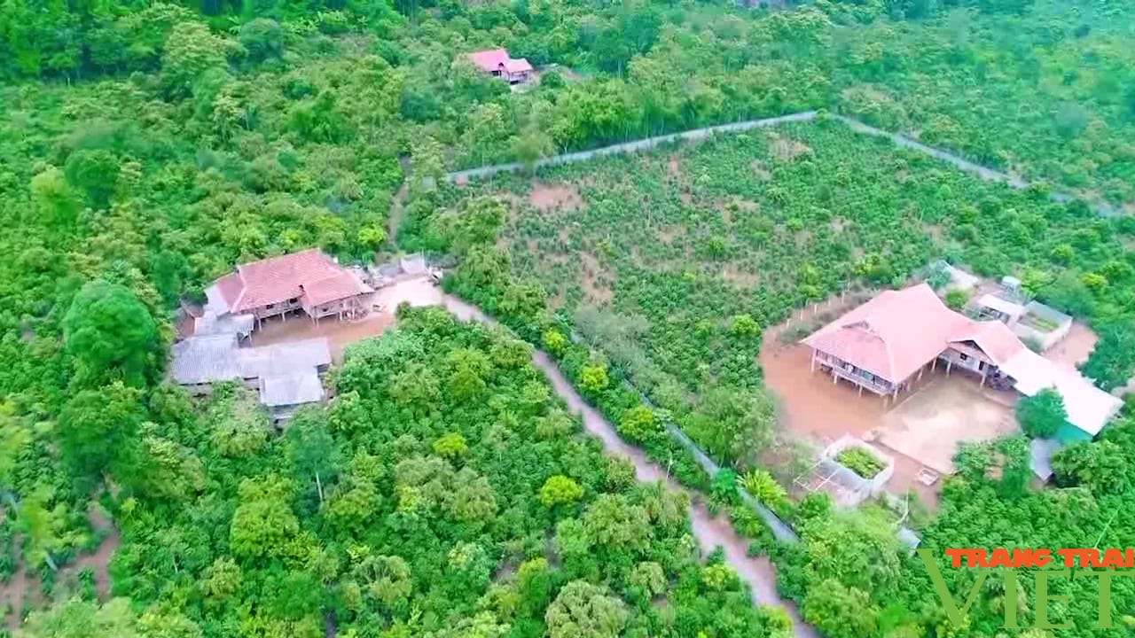 Nông thôn Tây Bắc: Chú trọng sản xuất nông nghiệp sạch, nông nghiệp hữu cơ - Ảnh 7. Nông thôn Tây Bắc: Chú trọng sản xuất nông nghiệp sạch, nông nghiệp hữu cơ - Ảnh 7.