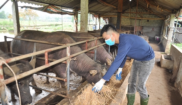 gop/ Động lực cho người nghèo thay đổi cuộc sống - Ảnh 1.