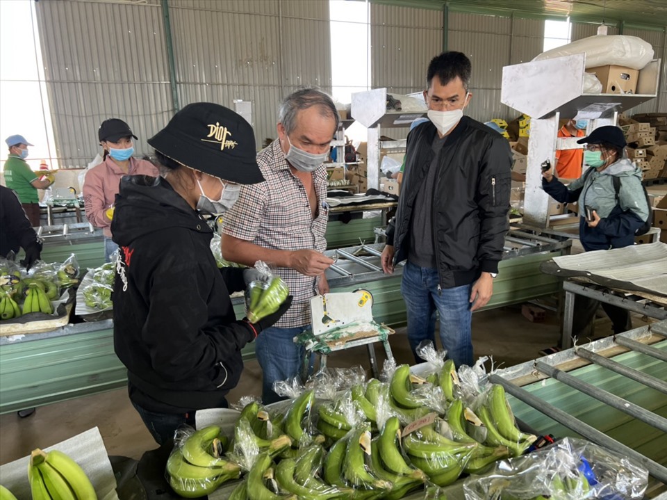 Bầu Đức: Tôi bán 3 triệu cổ phiếu vì cần tiền, lí do cá nhân, còn giờ tôi chỉ trồng chuối, nuôi heo - Ảnh 3.
