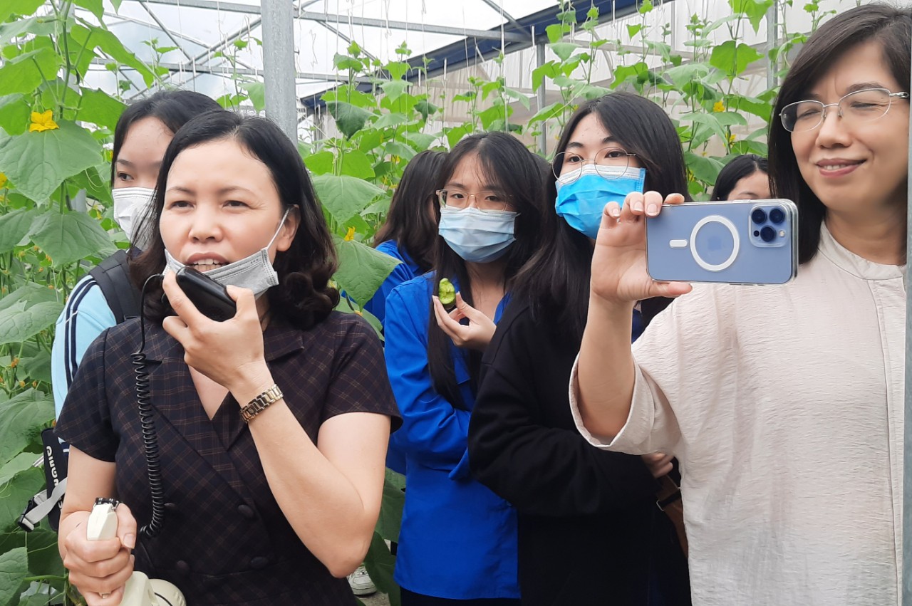 Hội ND Hải Phòng: Phối hợp với trường THPT Ngô Quyền tổ chức cho học sinh trải nghiệm tìm hiểu về sản xuất nông nghiệp - Ảnh 4.