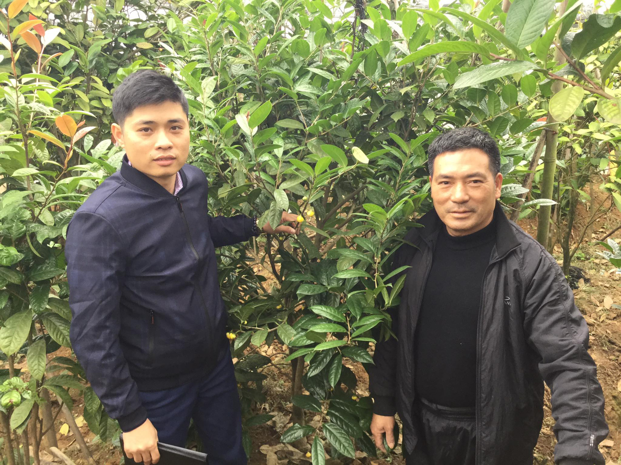 &quot;Bốn chàng ngự lâm&quot; đất Mỏ bỏ phố về quê, người nuôi gà, nuôi chim, kẻ trồng cây bán hoa thấy đời vui phơi phới - Ảnh 2.