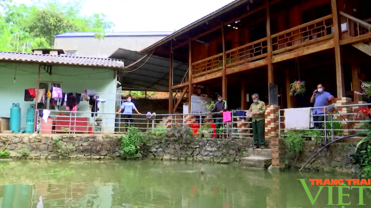 Cựu chiến binh người dân tộc Thái làm kinh tế giỏi - Ảnh 5. Cựu chiến binh người dân tộc Thái làm kinh tế giỏi - Ảnh 5.