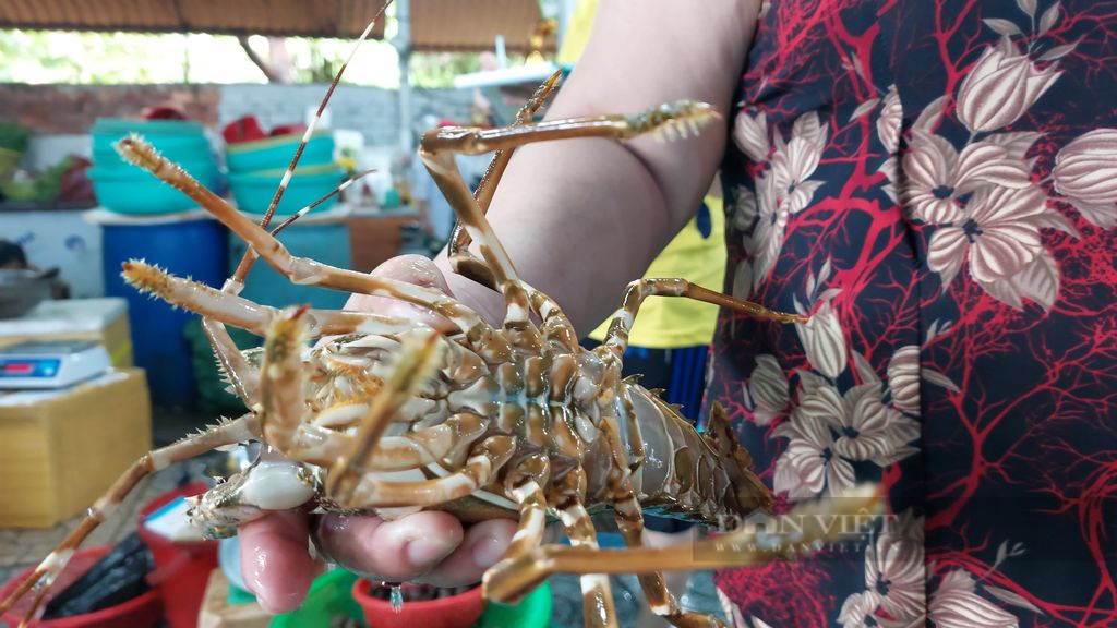 Chợ hải sản Hàng Dương: Tiểu thương tăng gấp đôi số lượng hải sản để chuẩn bị đón du khách trong dịp lễ 30/4 - Ảnh 2.