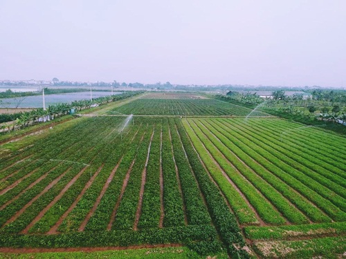 Chương Mỹ (Hà Nội): Rà soát điều chỉnh, bổ sung danh mục các công trình, dự án thu hồi đất năm 2022 - Ảnh 1.
