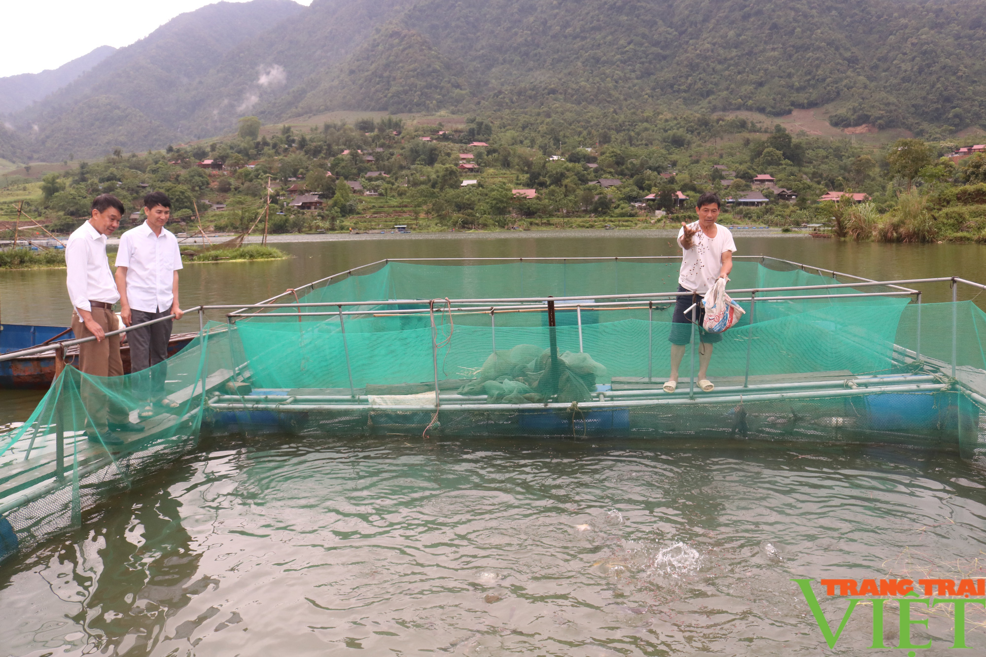 Những mô hình kinh tế hiệu quả của cựu chiến binh Phù Yên - Ảnh 3. Những mô hình kinh tế hiệu quả của cựu chiến binh Phù Yên - Ảnh 3.