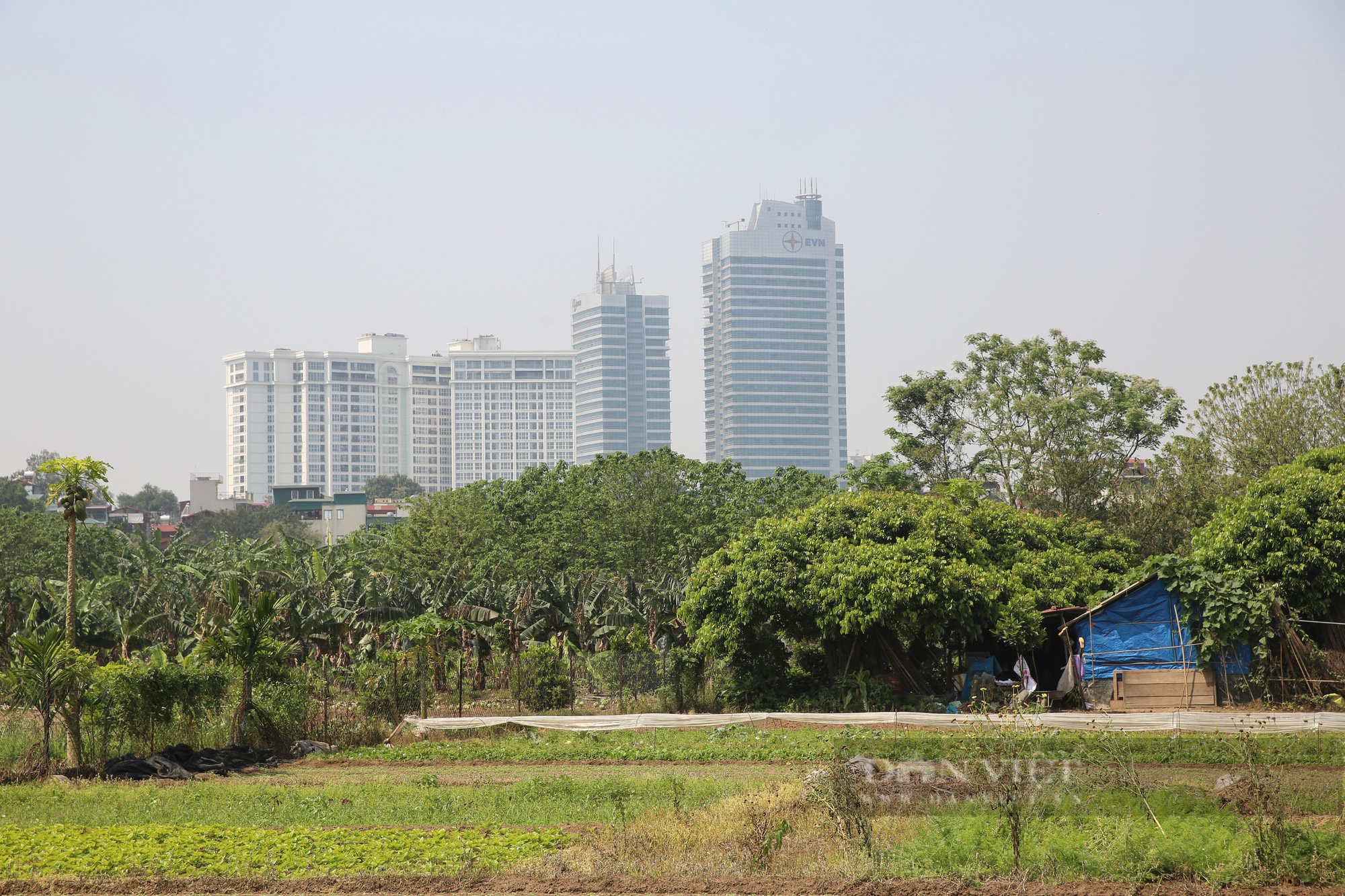 Rác thải kéo dài hàng trăm mét tại nơi quy hoạch phân khu đô thị sông Hồng - Ảnh 7.