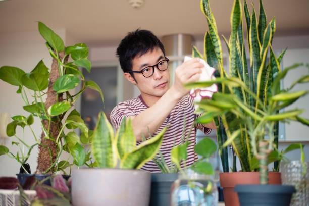 8 hiểu lầm lớn khi trồng cây cảnh, bảo sao &quot;nâng như nâng trứng&quot; mà cây vẫn chết - Ảnh 3.