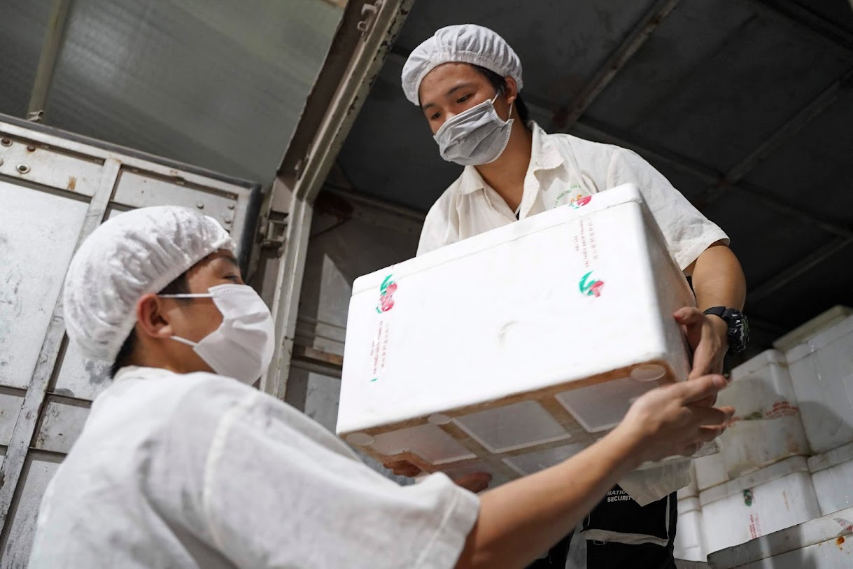 Một loại trái cây của Việt Nam chuẩn bị được bán sang Mỹ vào ngày 18/5 tới - Ảnh 2.