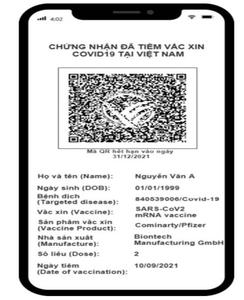  - Ảnh 6.