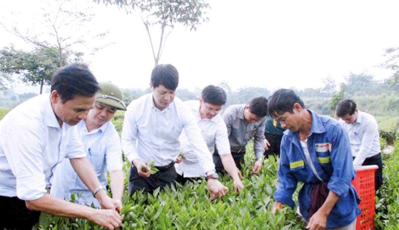 Hành trình về đích nông thôn mới của Hương Sơn giúp số hộ nghèo giảm gần 30% - Ảnh 1. Hành trình về đích nông thôn mới của Hương Sơn giúp số hộ nghèo giảm gần 30% - Ảnh 1.