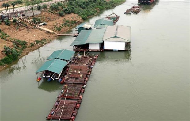 Tuyên Quang: Xuống sông Lô đóng lồng nuôi toàn cá đắt tiền, có cả loài cá tiến vua, thương lái tranh nhau mua - Ảnh 2.