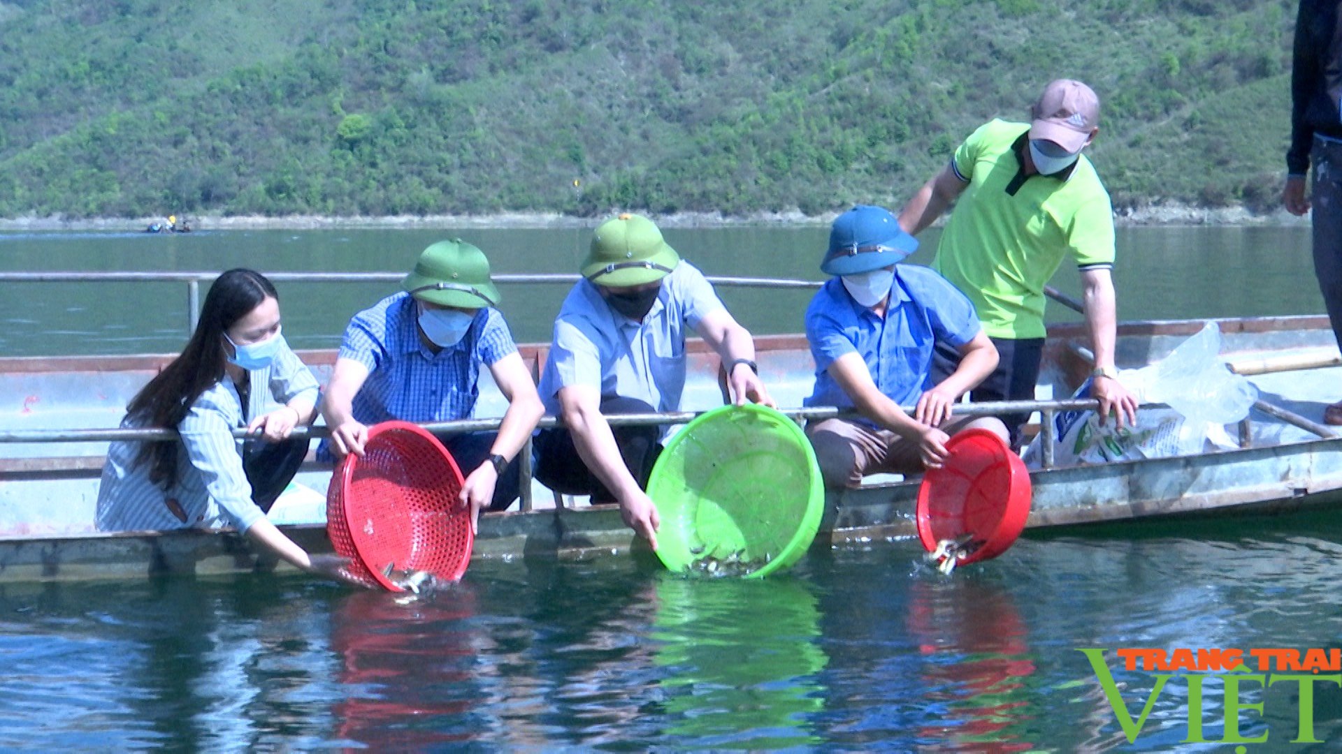 Thuận Châu: Bổ sung, tái tạo nguồn lợi thủy sản trên lòng hồ thủy điện Sơn La - Ảnh 1. Thuận Châu: Bổ sung, tái tạo nguồn lợi thủy sản trên lòng hồ thủy điện Sơn La - Ảnh 1.