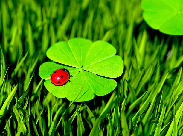 Sinh vào ngày Âm lịch này giỏi chịu đựng, &quot;cắn chặt&quot; mục tiêu, tương lai như ý - Ảnh 2.