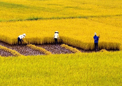 WB dự báo tăng trưởng GDP Việt Nam đạt 5,3% năm 2022 - Ảnh 1.