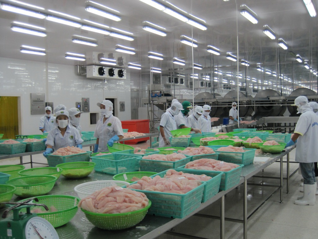 Giá nguyên liệu tăng cao, xuất khẩu cá tra đang phục hồi mạnh mẽ - Ảnh 3.