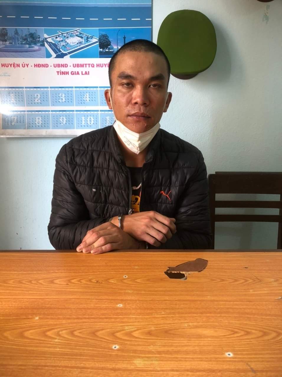 Gia Lai: Kiểm tra ô tô tải nghi vấn, phát hiện 27 con chó - Ảnh 1.