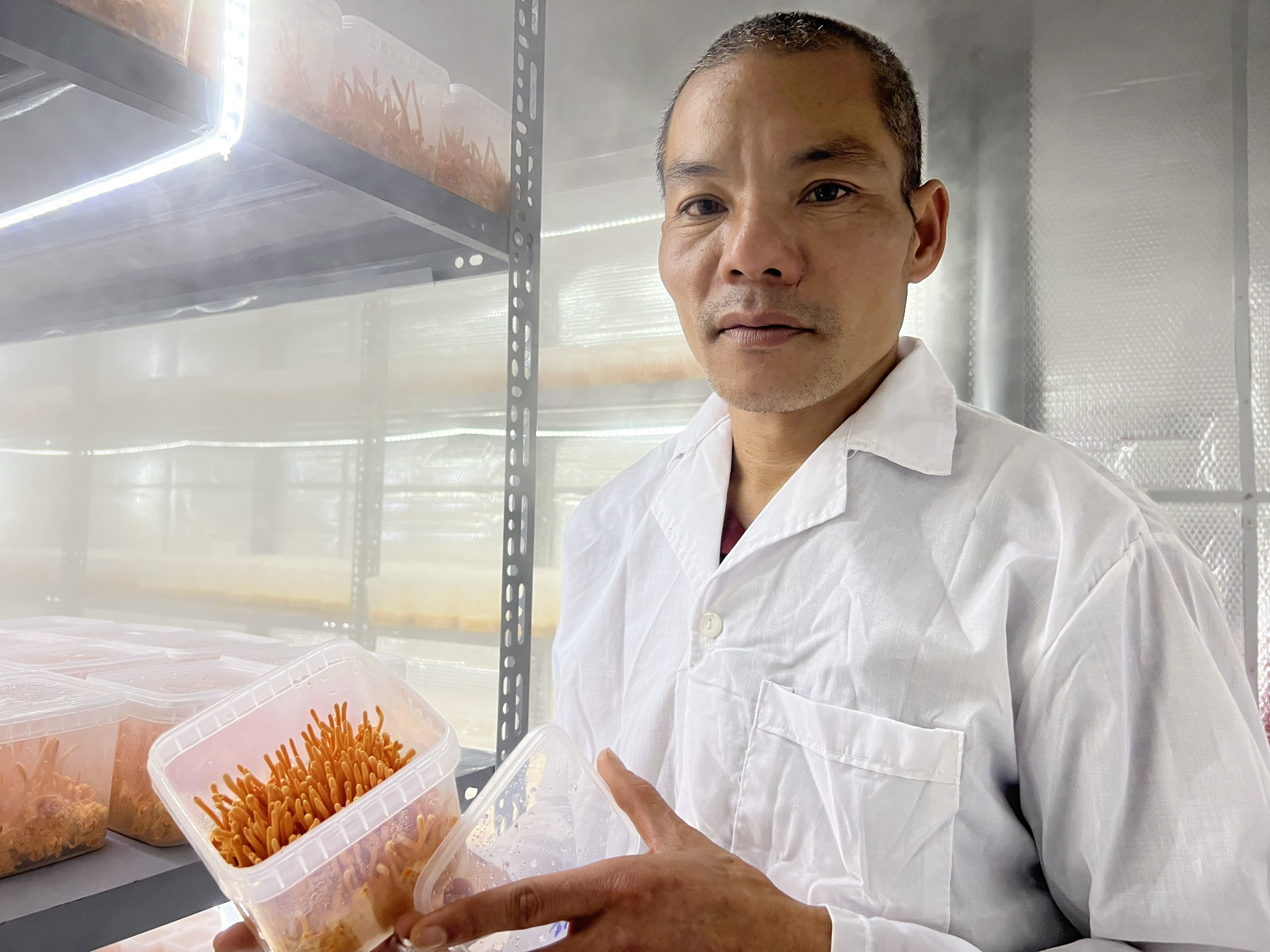 Hiệu quả mô hình trồng nấm đông trùng hạ thảo - Ảnh 2.