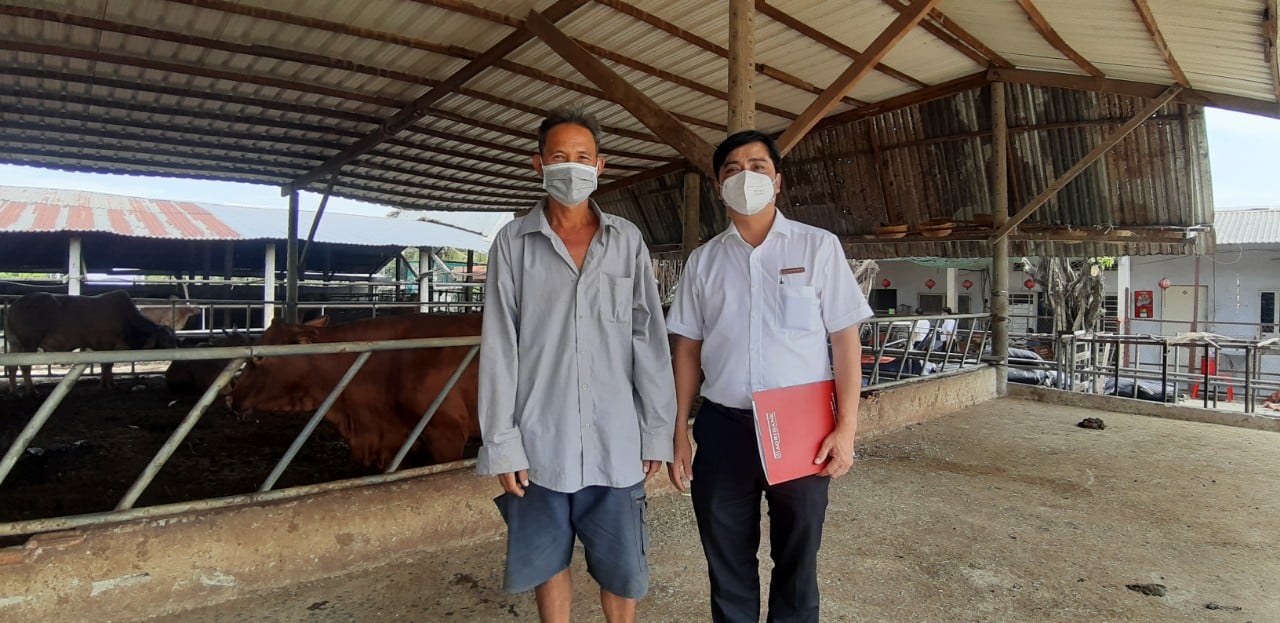 Nuôi giống bò thích được vuốt ve, ăn hèm bia thu về tiền tỉ - Ảnh 6. Nuôi giống bò thích được vuốt ve, ăn hèm bia thu về tiền tỉ - Ảnh 6.