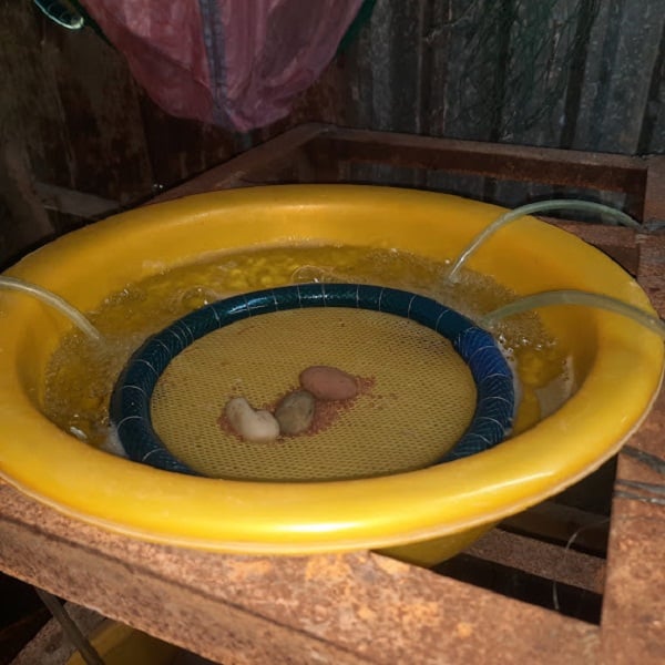 Cận cảnh kỹ thuật nuôi lươn mẹ, kinh nghiệm ấp trứng lươn, ương lươn giống, lãi hàng trăm triệu của ông nông dân Hậu Giang - Ảnh 4.
