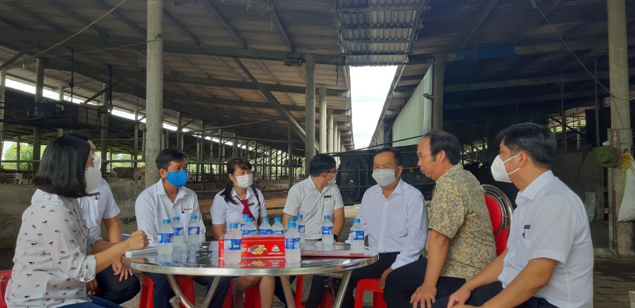Nuôi giống bò thích được vuốt ve, ăn hèm bia thu về tiền tỉ - Ảnh 1. Nuôi giống bò thích được vuốt ve, ăn hèm bia thu về tiền tỉ - Ảnh 1.