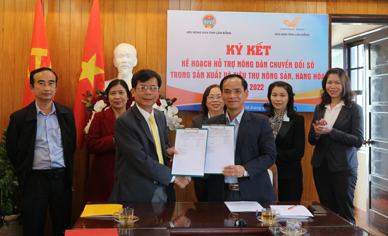 Lâm Đồng: Đưa 160.000 hộ nông dân giỏi, HTX tiêu biểu bán hàng nông sản trên sàn thương mại điện tử - Ảnh 1.