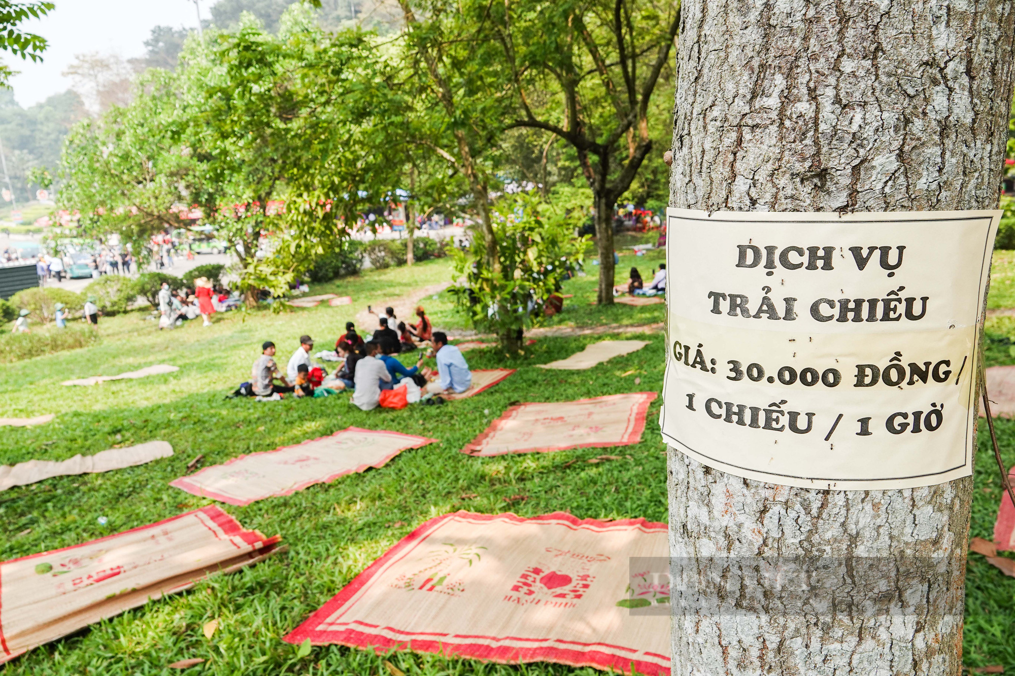 Kiếm bộn tiền nhờ dịch vụ cho thuê chiếu tại đền Hùng - Ảnh 1.