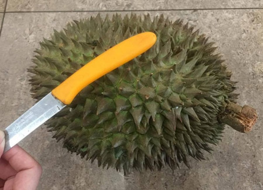5 bí quyết chọn sầu riêng ngọt mềm, cơm dày, không sượng: Người bán không bao giờ tiết lộ - Ảnh 3.