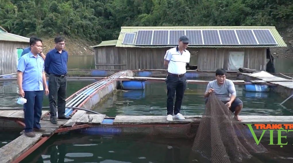 Lai Châu: Phát triển nuôi trồng thủy sản theo hướng bền vững - Ảnh 5. Lai Châu: Phát triển nuôi trồng thủy sản theo hướng bền vững - Ảnh 5.