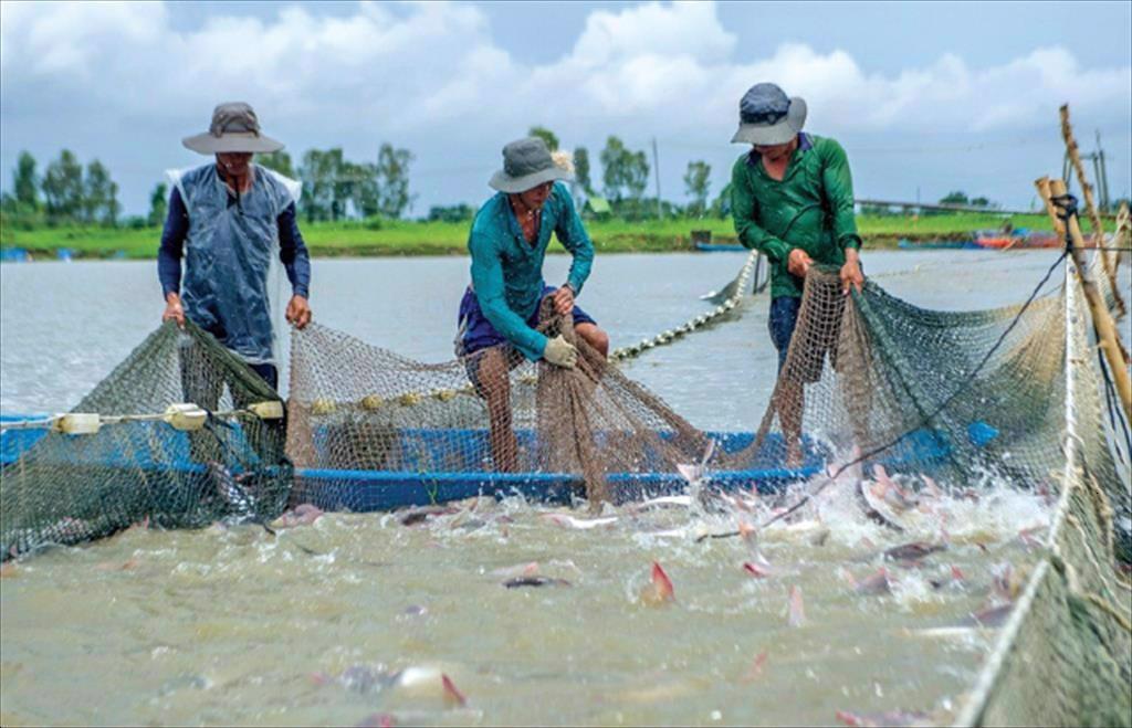 &quot;Siêu trung tâm logistics&quot; 3.300ha được xây dựng ở Cần Thơ, nông sản &quot;vùng đất 9 rồng&quot; có còn lo đầu ra? - Ảnh 1.