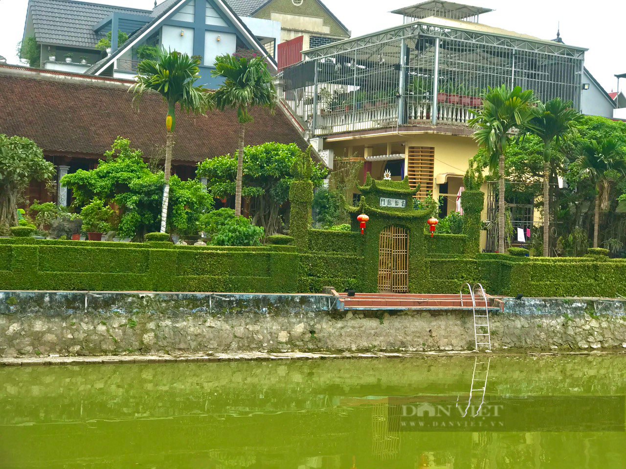 Trầm trồ trước căn nhà có hàng rào, cổng chùa làm bằng cây ô rô &quot;cực chất&quot; ở Hà Nội - Ảnh 3.