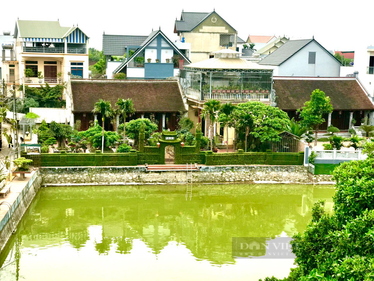Trầm trồ trước căn nhà có hàng rào, cổng chùa làm bằng cây ô rô &quot;cực chất&quot; ở Hà Nội - Ảnh 1.
