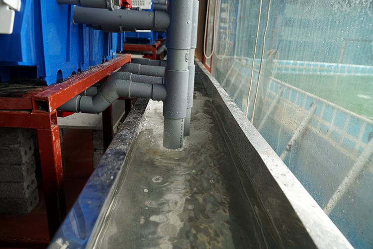 Độc - lạ Việt Nam: Nuôi loại cua biển thơm ngon đứng đầu tất cả các loại cua ở... trong nhà - Ảnh 3.
