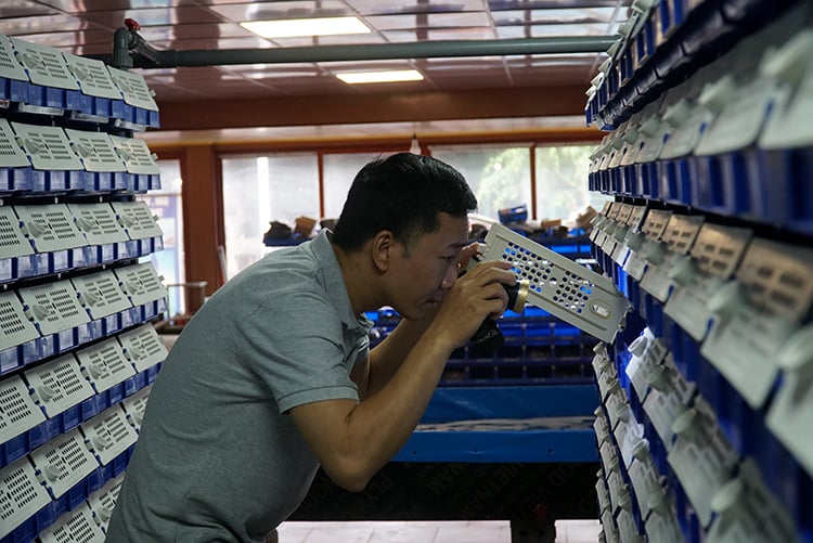Độc - lạ Việt Nam: Nuôi loại cua biển thơm ngon đứng đầu tất cả các loại cua ở... trong nhà - Ảnh 9.