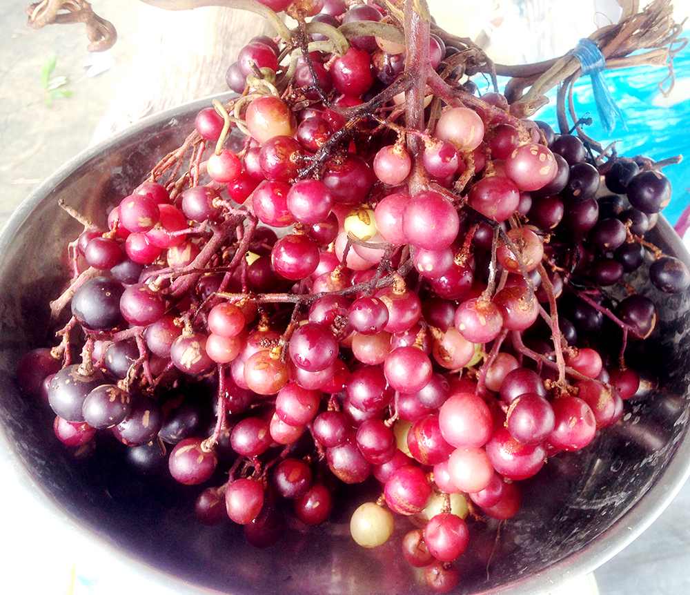 Trái cây mùa mưa Bảy Núi - Ảnh 3.