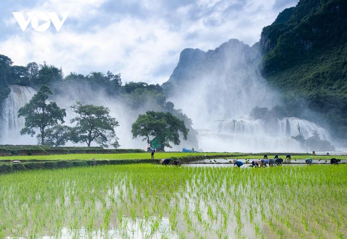Chiêm ngưỡng vẻ đẹp bốn mùa của thác Bản Giốc - Ảnh 6.