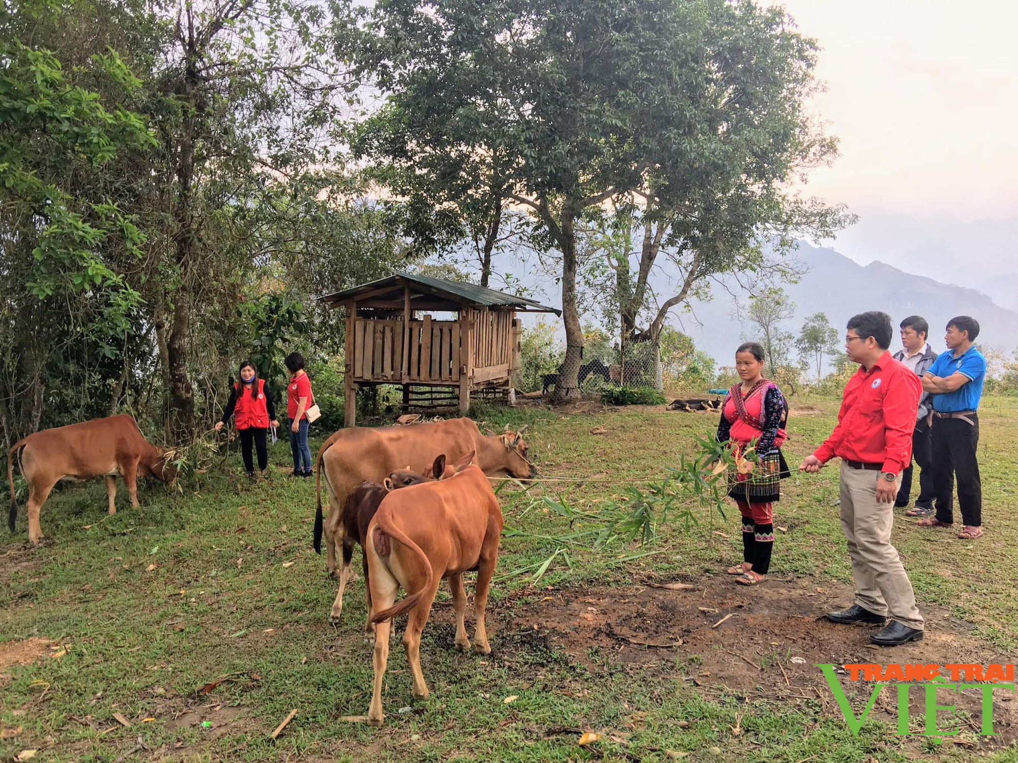 Hội Chữ thập đỏ Sìn Hồ phát huy vai trò nhân đạo - Ảnh 2. Hội Chữ thập đỏ Sìn Hồ phát huy vai trò nhân đạo - Ảnh 2.